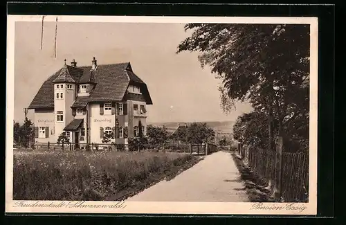 AK Freudenstadt, Blick zum Hotel Essig