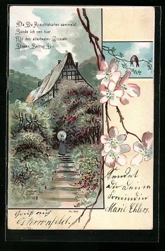 Lithographie Da Du Ansichtskarten sammelst...