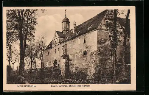 AK Mühlberg, Ehem. kurfürstl. sächsisches Schloss