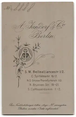 Fotografie A. Jandorf & Co., Berlin, S.W. Belleallicancestr. 1 /2, hübsche Bürgerliche mit HochsteckfrisurFotografie