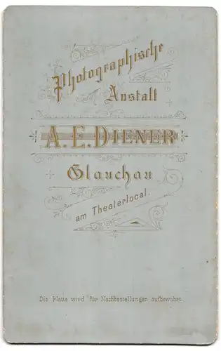 Fotografie A. E. Diener, Glauchau, am Theaterlocal, sehr junger Knabe mit ernster Miene und Matrosenmütze