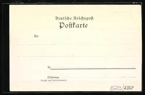 Lithographie Konstanz, Münster, Schloss Mainau, Conciliumsgebäude