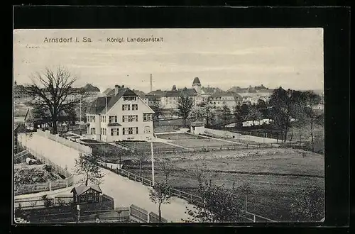 AK Arnsdorf i. Sa., Königliche Landesanstalt mit Strasse und Gärten aus der Vogelschau