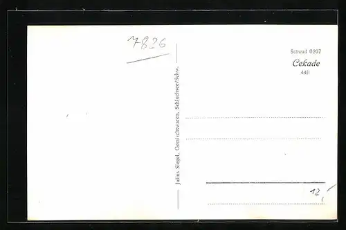 AK Schluchsee, Ansicht vom Hotel Schiff