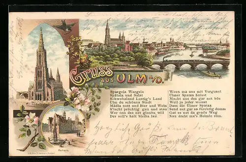 Lithographie Ulm a / D., Teilansicht mit Brücke, Kathedrale, Rathaus