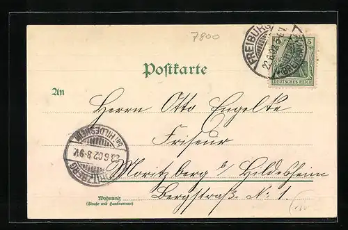 Lithographie Freiburg i. B., Totalansicht, Landkarte