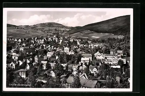 AK Graslitz, Ortsansicht mit Fernblick aus der Vogelschau