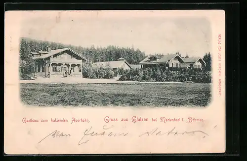 AK Glatzen bei Marienbad, Gasthaus zum balzenden Auerhahn