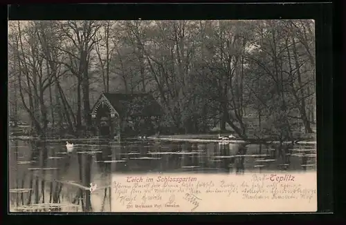 AK Teplitz, Teich im Schlossgarten