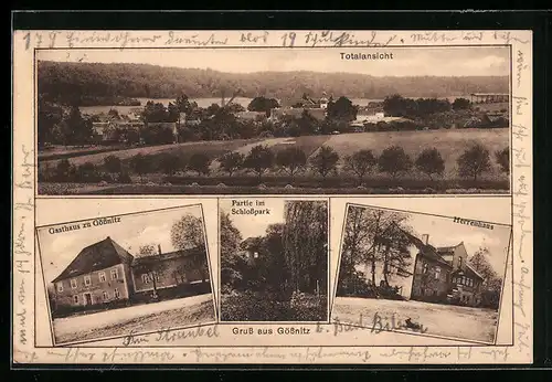 AK Gössnitz, Gasthaus, Herrenhaus, Totalansicht mit Umgebung