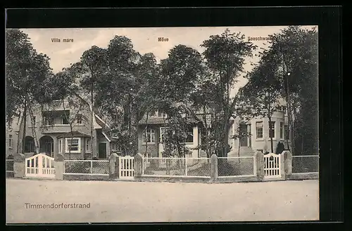 AK Timmendorferstrand, Villa mare, Möve und Seeschwalbe