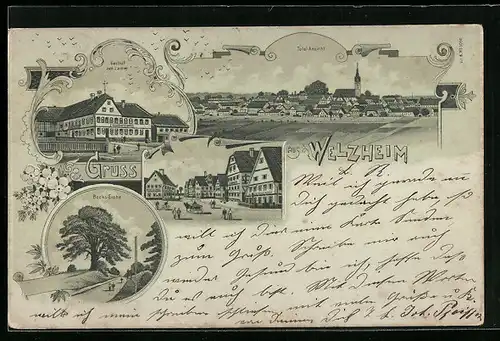 Lithographie Welzheim, Gasthof zum Lamm, Bocks-Eiche, Strassenpartie, Totalansicht