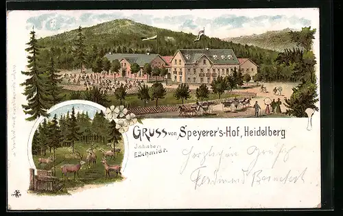 Lithographie Heidelberg, Gasthaus Speyerer`s-Hof, Hirsche und Rehe