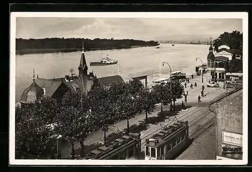 AK Wiesbaden-Biebrich a. Rh., Strassenbahnen am Rheinufer