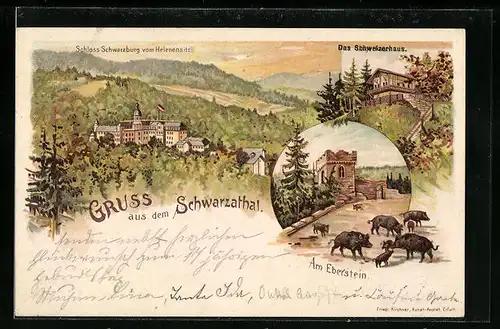 Lithographie Schwarzburg i. Thür., Am Eberstein, das Schweizerhaus, Schloss Schwarzburg vom Helenensitz