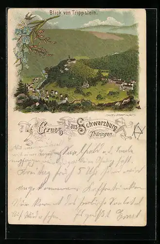 Lithographie Schwarzburg / Thür., Panoramablick vom Trippstein