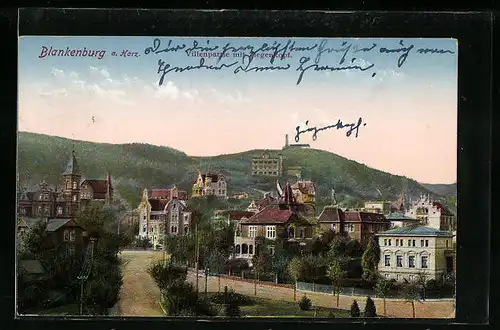 AK Blankenburg a. Harz, Villenpartie mit Ziegenkopf