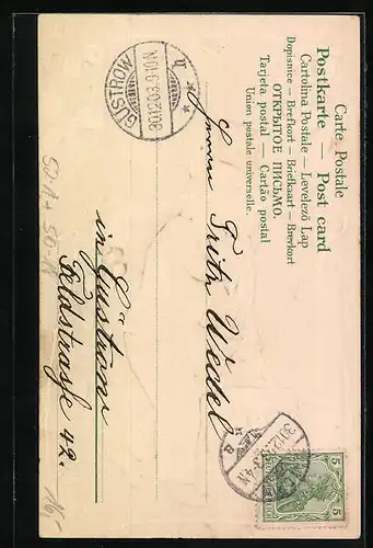 Präge-AK Neujahrsgruss, Schwein verliert all sein Geld, Schwein