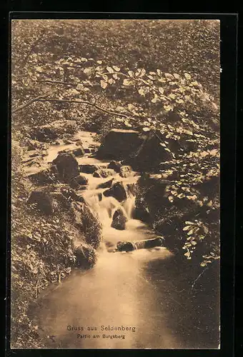 AK Seidenberg, Partie am Burgsberg