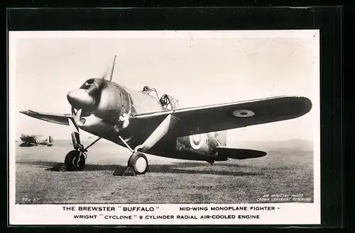 AK Flugzeug The Brewster Buffalo, Mid-Wing Monoplane Fighter, Wright Cyclone 9 Cylinder Radial Air-Cooled Engine