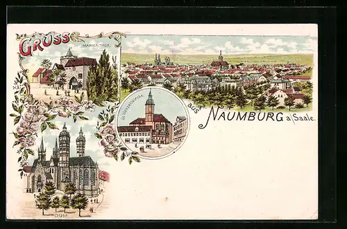 Lithographie Naumburg a. Saale, Dom, St. Wenzelskirche, Marientor