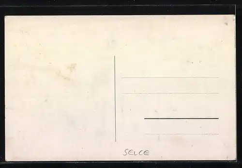 AK Selce, Villa Salda