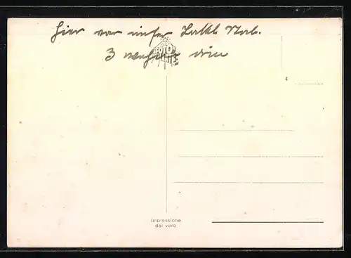 AK Susak, Park Hotel