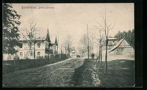AK Rainwiese, Ortsansicht mit Strassenpartie