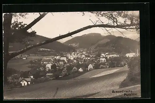 AK Pürstein, Teilansicht