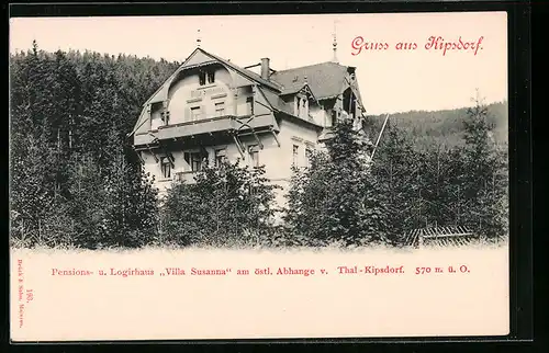 AK Kipsdorf, Pensions- und Logierhaus Villa Susanna