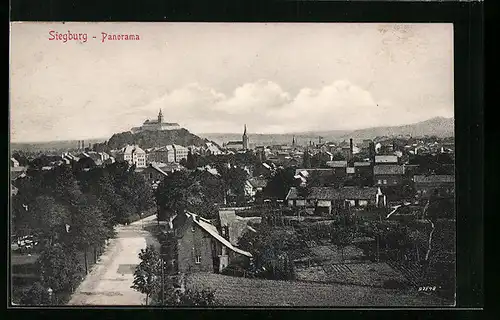 AK Siegburg, Panorama mit Strassenpartie