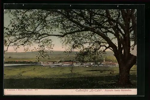AK Santa Gertrudes, Fazenda Santa Gertrudes