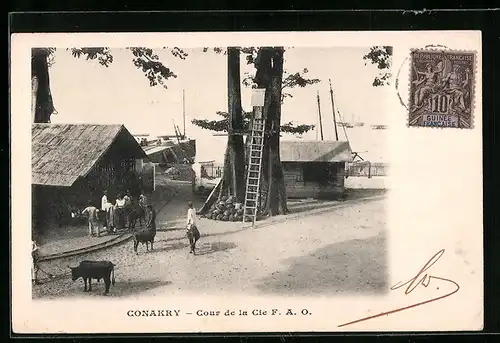 AK Conakry, Cour de la Cie F. A. O.