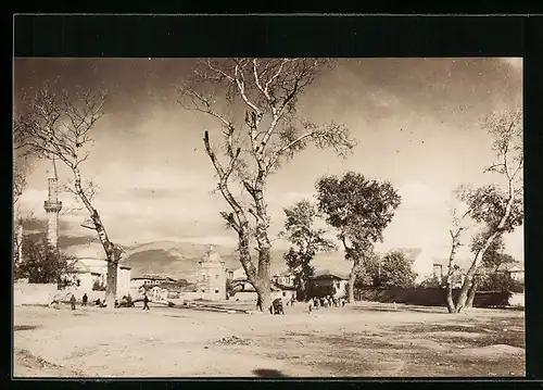 AK Skopje, Partie zwischen alten Bäumen