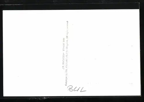 AK Petritsch, Ortsansicht mit Umland