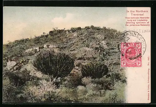 AK Transvaal, View between Haenertsburg and Leydsdorp