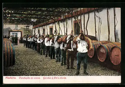 AK Madeira, Wine arriving in skins at Cossart Gordon & Co`s Stores