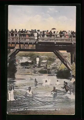 AK Whakarewarewa, Diving for a Penny