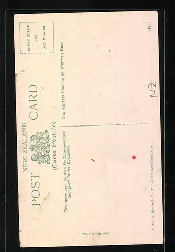 AK Whakarewarewa, Diving for a Penny