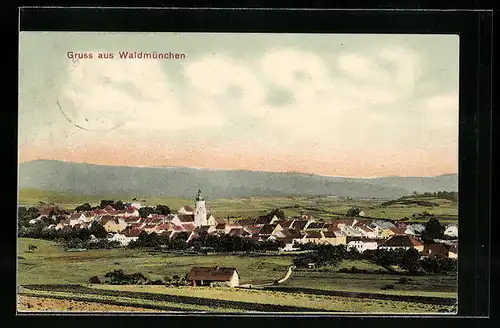 AK Waldmünchen, Totalansicht der Ortschaft
