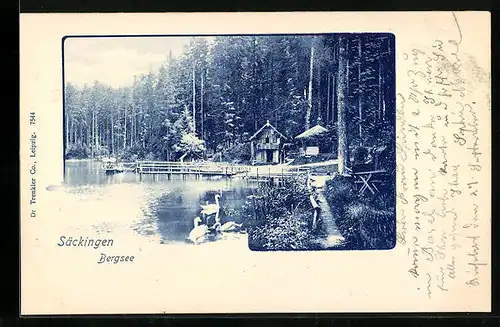 AK Säckingen, Partie am Bergsee mit Schwänen