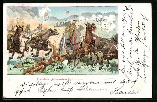 Lithographie Soldaten mit durchgehenden Maultieren, Burenkrieg