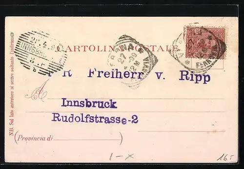 Lithographie Verona, Teilansicht, Rose