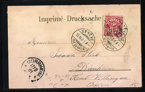 Winter-Lithographie Genève, Monument National, Ariana, Place Neuve