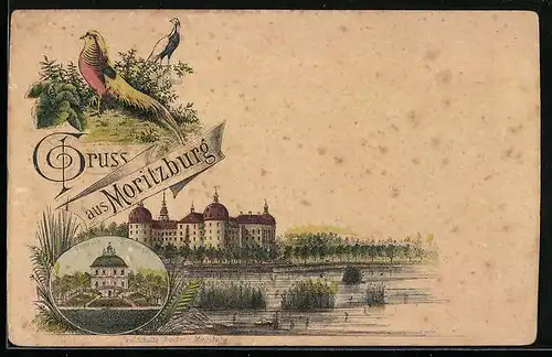 Lithographie Moritzburg, Schloss, Fasanenschlösschen, Fasane
