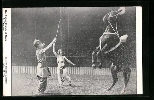 AK Pferdedressur im Zirkus