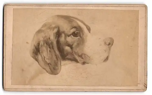 Fotografie Wagg, Ort unbekannt, Gemälde: englischer Pointer Hunt, Jagdhund nach H. Sperling