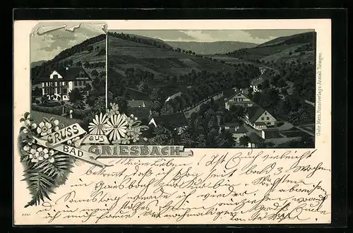 Lithographie Bad Griesbach, Hotel Tannenhof, Panorama
