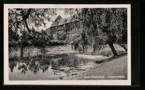 AK Berlin-Weissensee, Schwanenteich