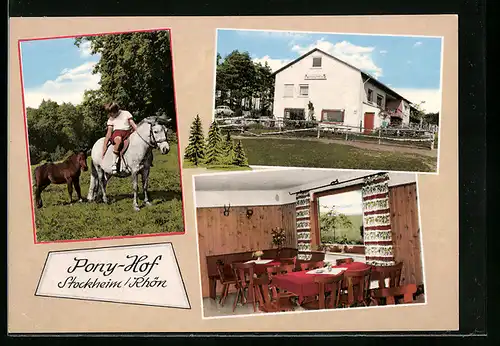 AK Stockheim /Rhön, Pony-Hof ovn Oskar Müller, Innenansicht, Kind mit Ponys auf der Wiese